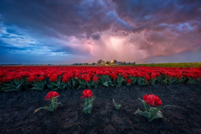Fabulous photos of beautiful Holland that take your breath away Fabulous photos of beautiful Holland that take your breath away