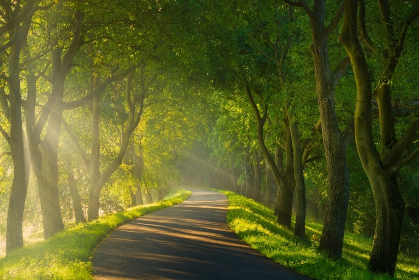 Fabulous photos of beautiful Holland that take your breath away Fabulous photos of beautiful Holland that take your breath away