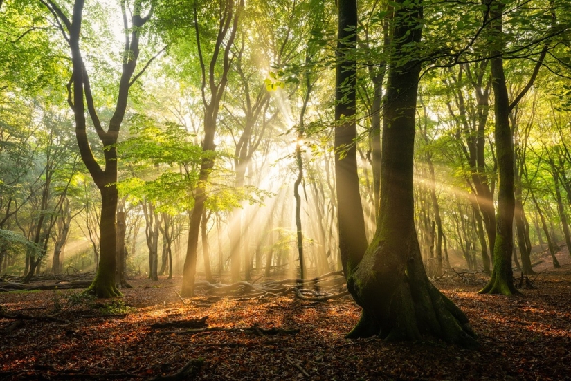 Fabulous photos of beautiful Holland that take your breath away Fabulous photos of beautiful Holland that take your breath away