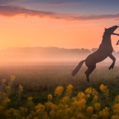 Fabulous photos of beautiful Holland that take your breath away Fabulous photos of beautiful Holland that take your breath away