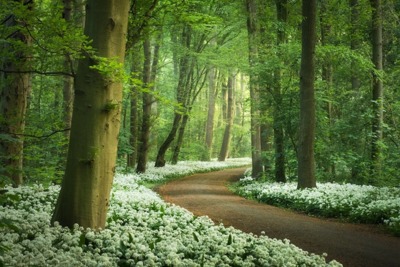 Fabulous photos of beautiful Holland that take your breath away Fabulous photos of beautiful Holland that take your breath away