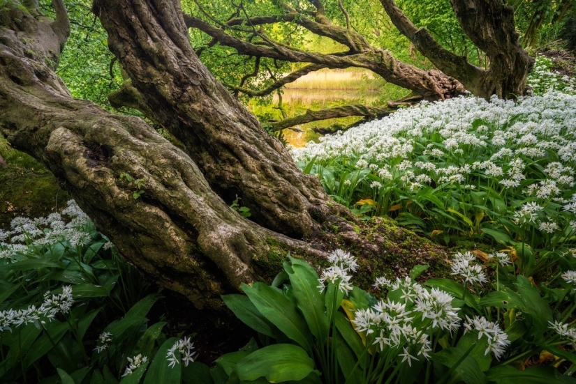 Fabulous photos of beautiful Holland that take your breath away Fabulous photos of beautiful Holland that take your breath away