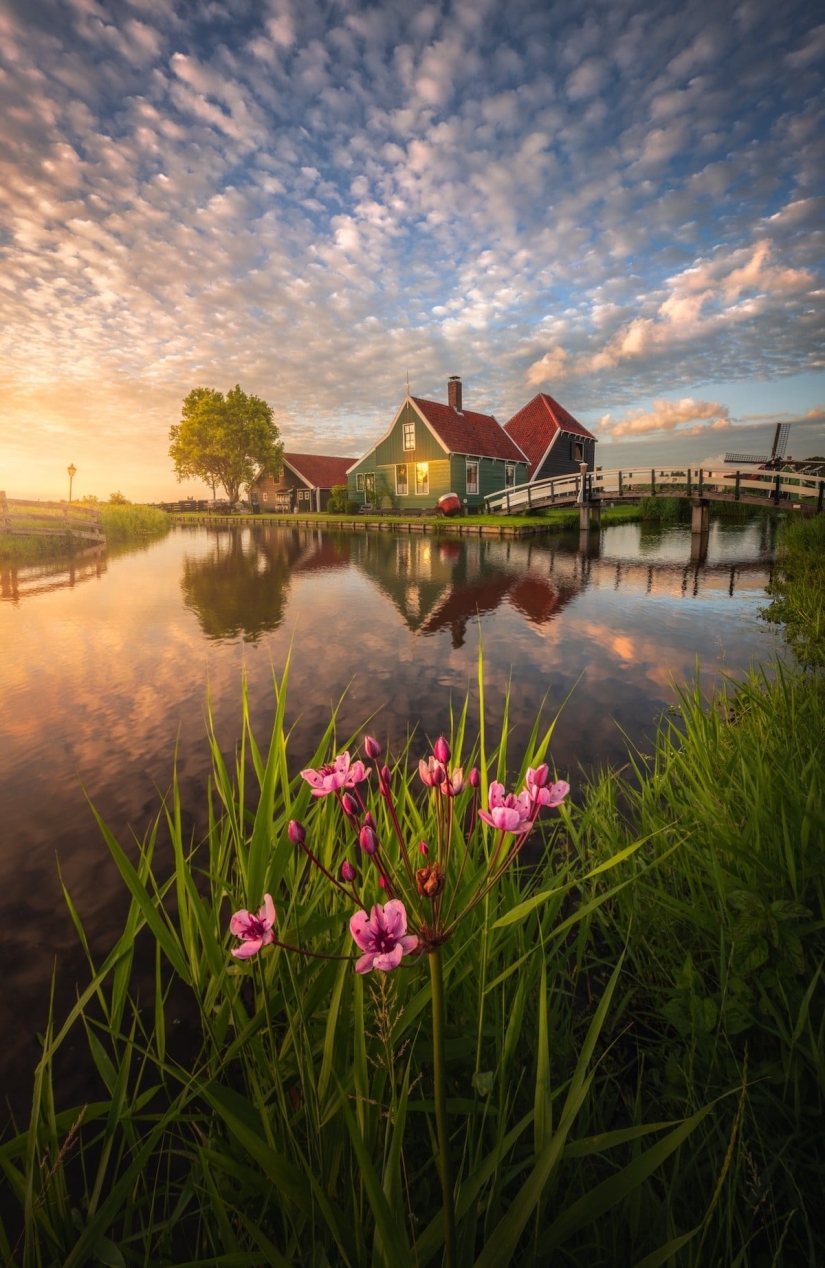 Fabulous photos of beautiful Holland that take your breath away Fabulous photos of beautiful Holland that take your breath away