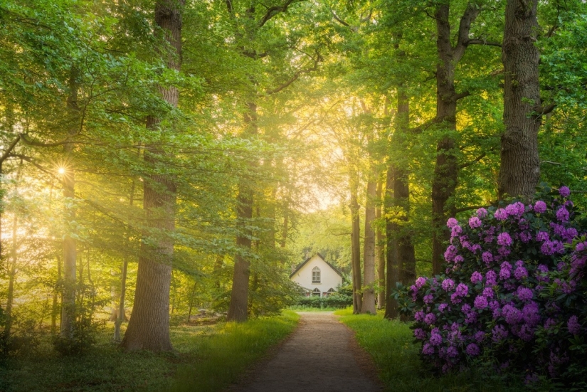 Fabulous photos of beautiful Holland that take your breath away Fabulous photos of beautiful Holland that take your breath away