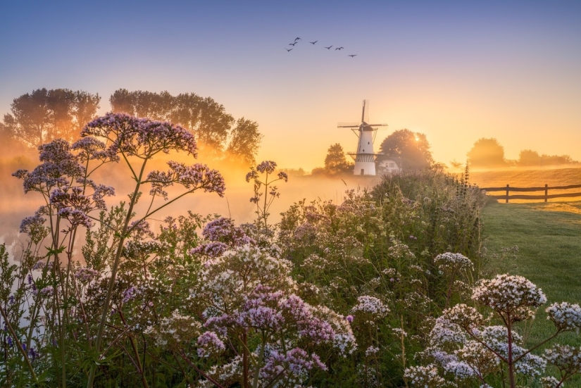 Fabulous photos of beautiful Holland that take your breath away Fabulous photos of beautiful Holland that take your breath away