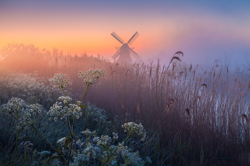 Fabulous photos of beautiful Holland that take your breath away Fabulous photos of beautiful Holland that take your breath away