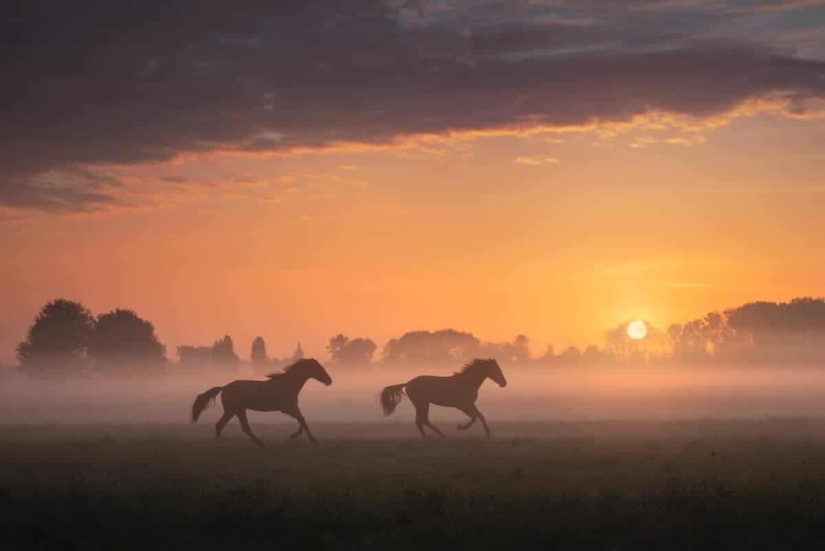 Fabulous photos of beautiful Holland that take your breath away Fabulous photos of beautiful Holland that take your breath away