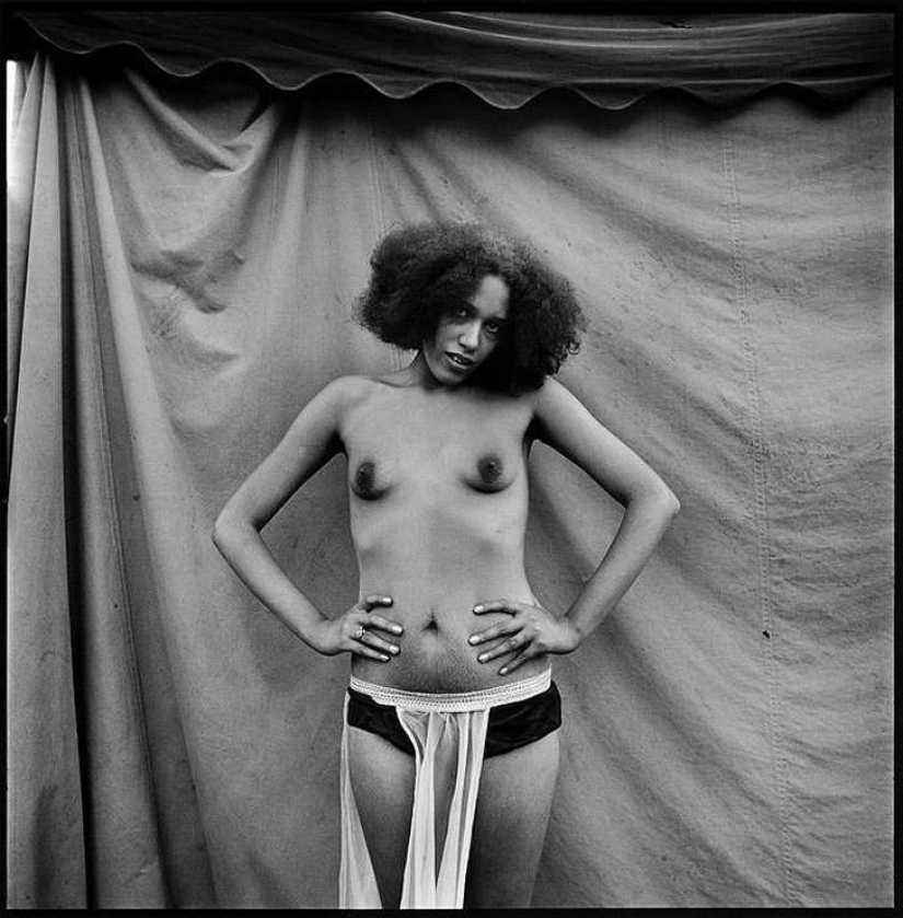 Fairground stripper