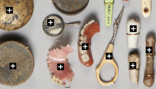 False teeth, Soviet badges and firearms: the 700 finds from the bottom of the canals in Amsterdam False teeth, Soviet badges and firearms: the 700 finds from the bottom of the canals in Amsterdam