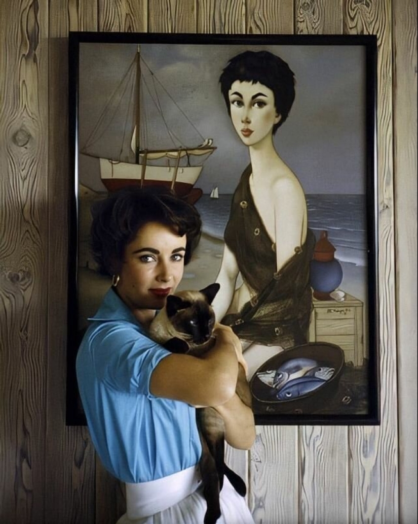 Famous cat lovers: famous personalities and their Pets