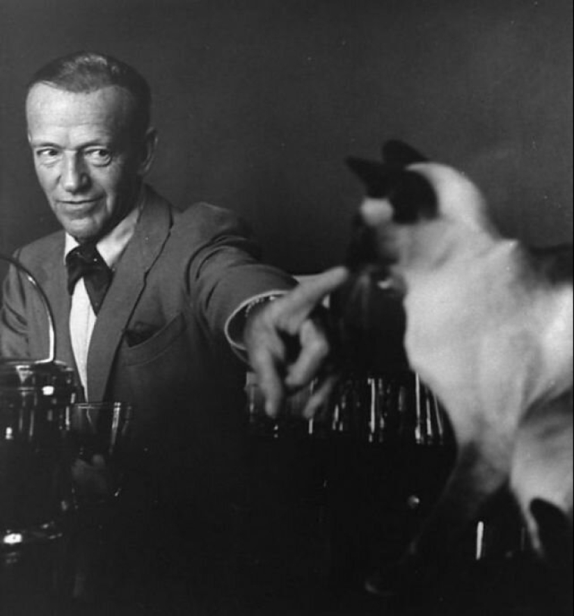 Famous cat lovers: famous personalities and their Pets