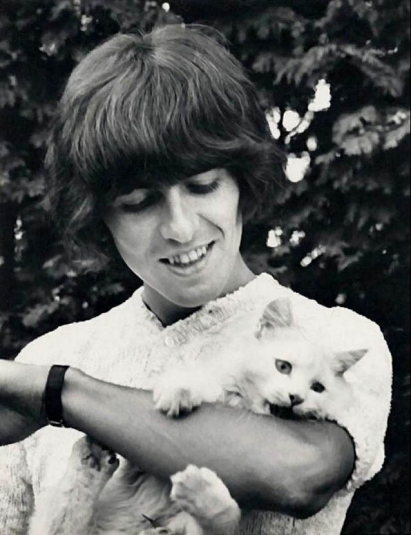 Famous cat lovers: famous personalities and their Pets