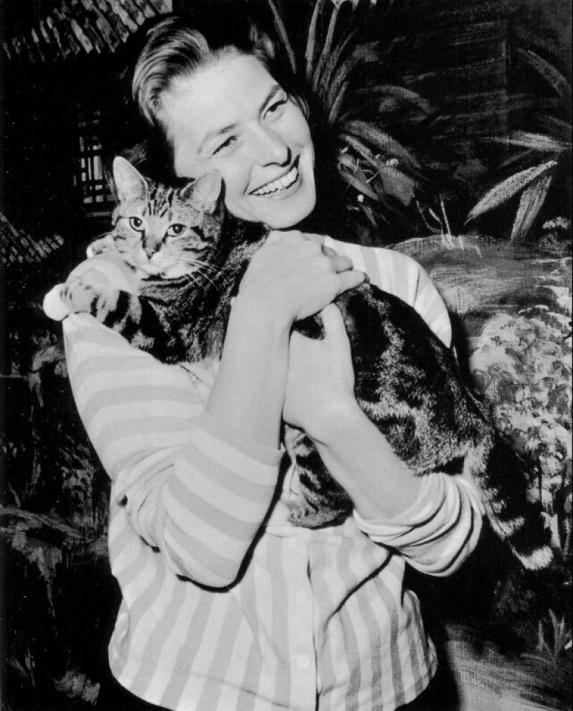 Famous cat lovers: famous personalities and their Pets