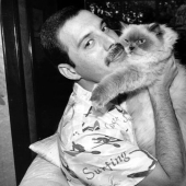 Famous cat lovers: famous personalities and their Pets Famous cat lovers: famous personalities and their Pets