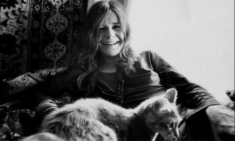 Famous cat lovers: famous personalities and their Pets