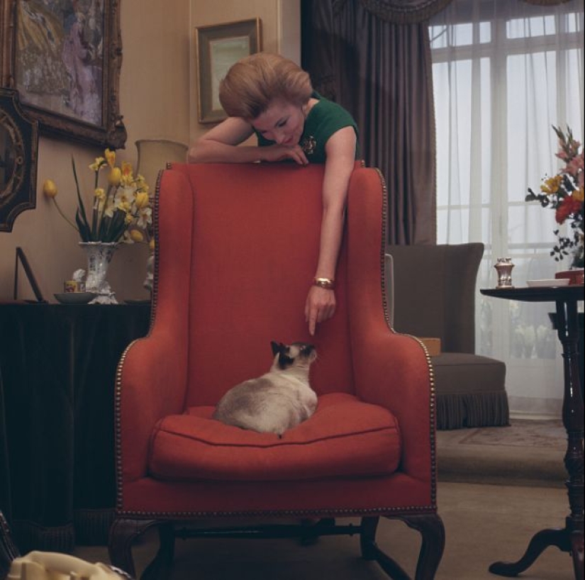 Famous cat lovers: famous personalities and their Pets