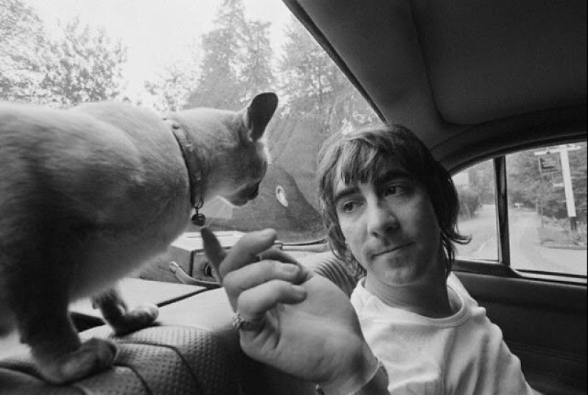 Famous cat lovers: famous personalities and their Pets