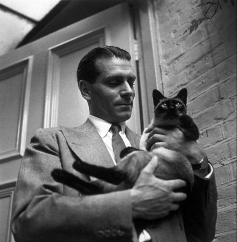 Famous cat lovers: famous personalities and their Pets