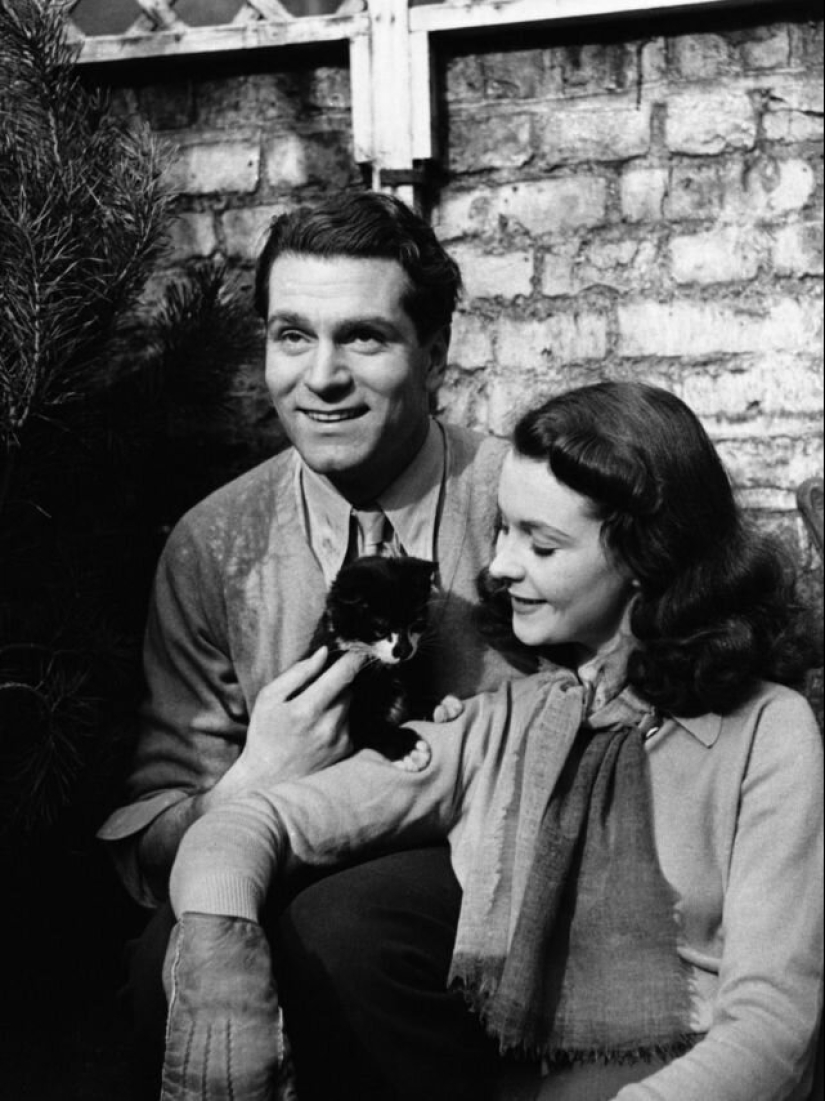 Famous cat lovers: famous personalities and their Pets