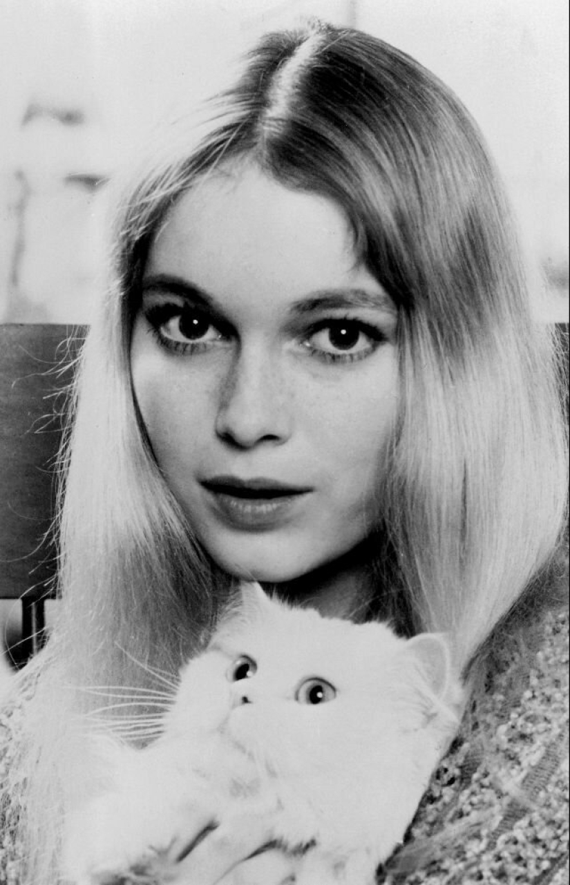 Famous cat lovers: famous personalities and their Pets