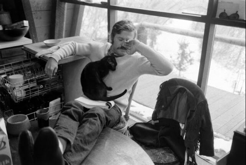 Famous cat lovers: famous personalities and their Pets