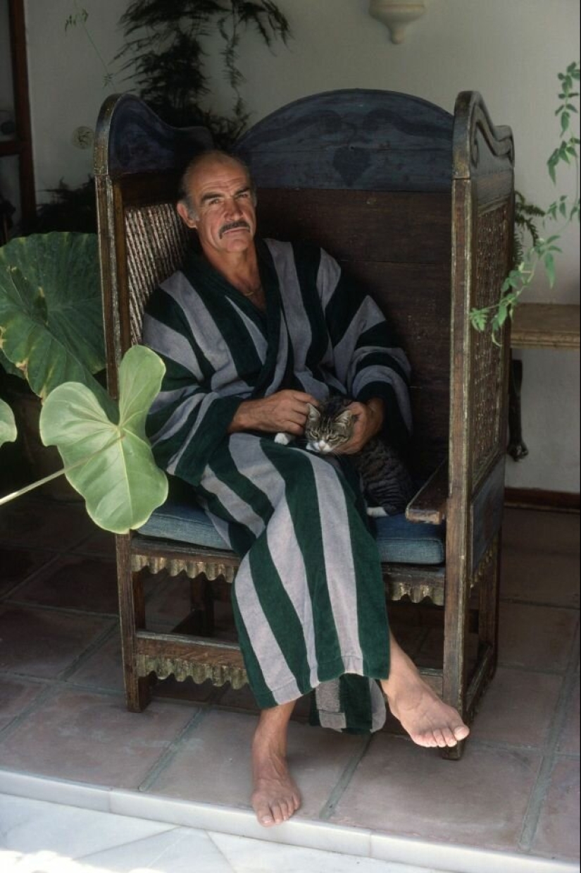 Famous cat lovers: famous personalities and their Pets