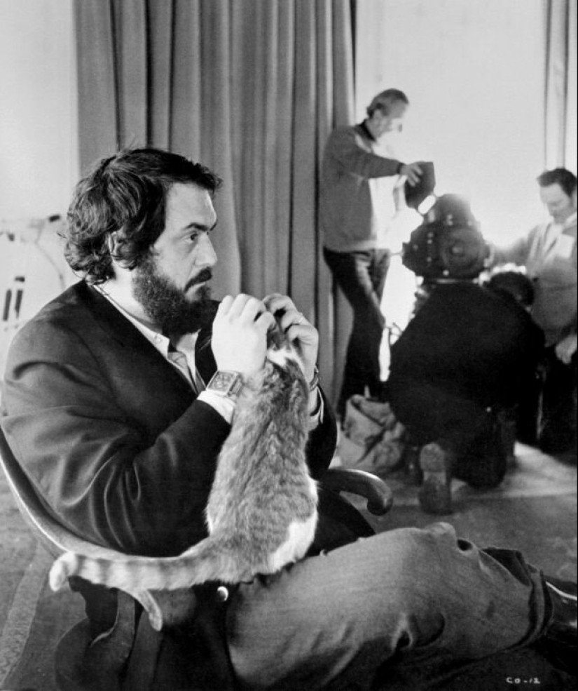 Famous cat lovers: famous personalities and their Pets