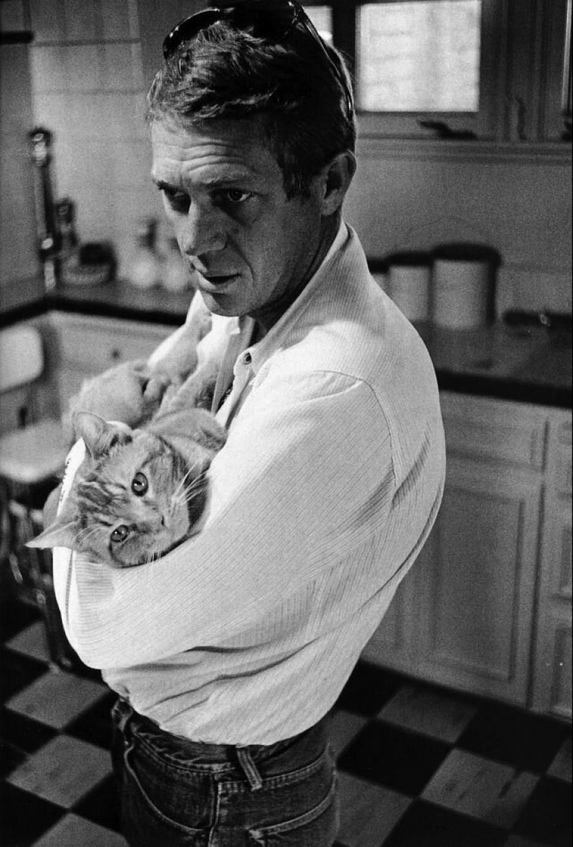 Famous cat lovers: famous personalities and their Pets
