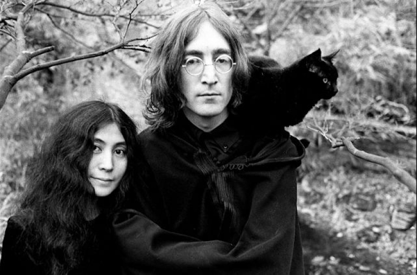 Famous cat lovers: famous personalities and their Pets