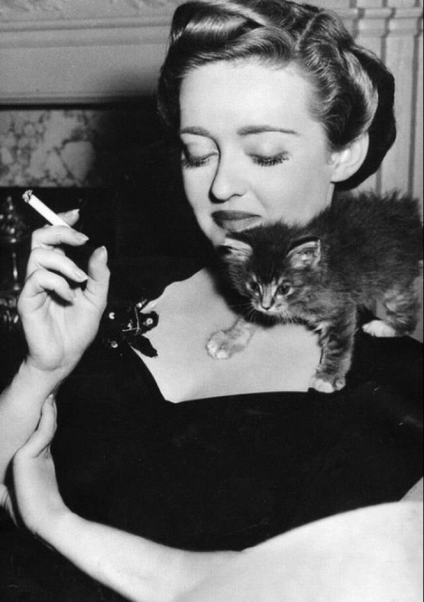 Famous cat lovers: famous personalities and their Pets