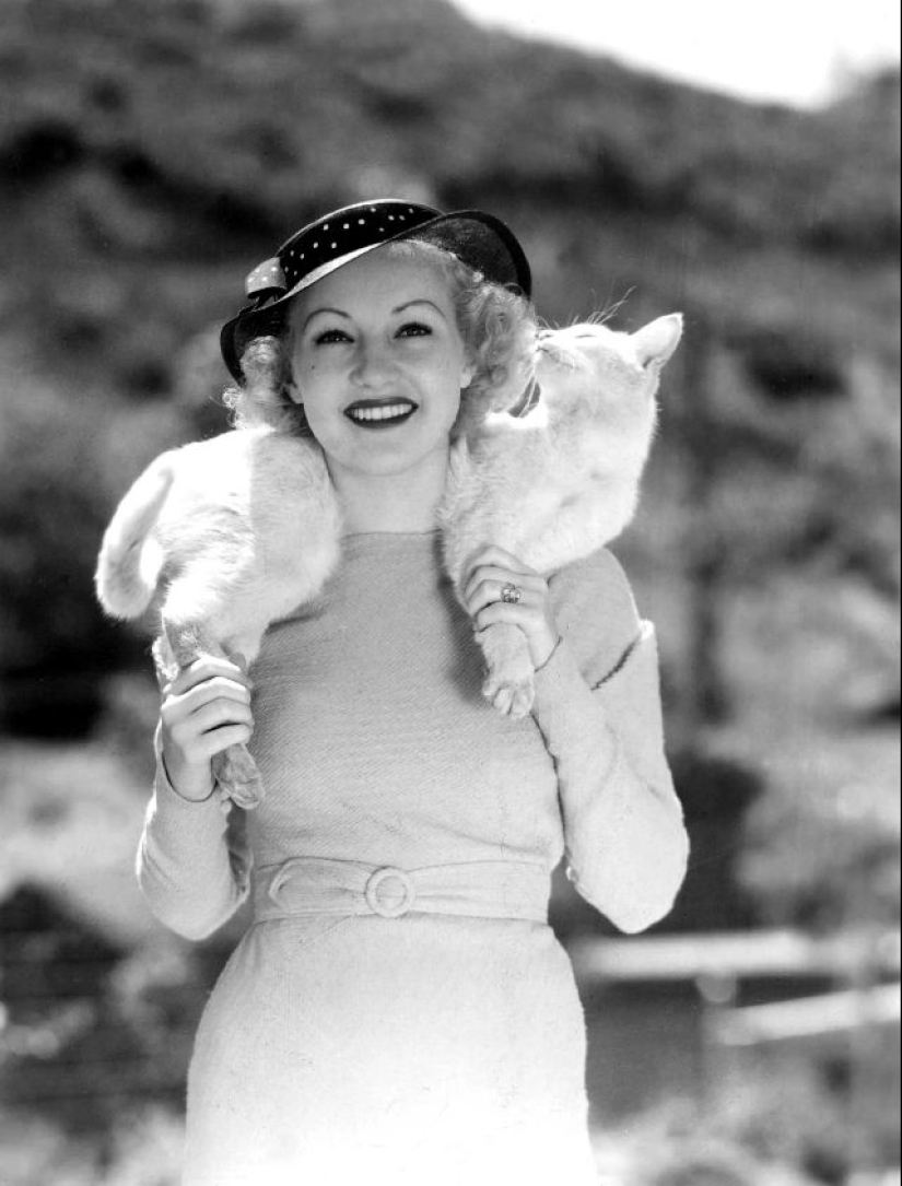 Famous cat lovers: famous personalities and their Pets