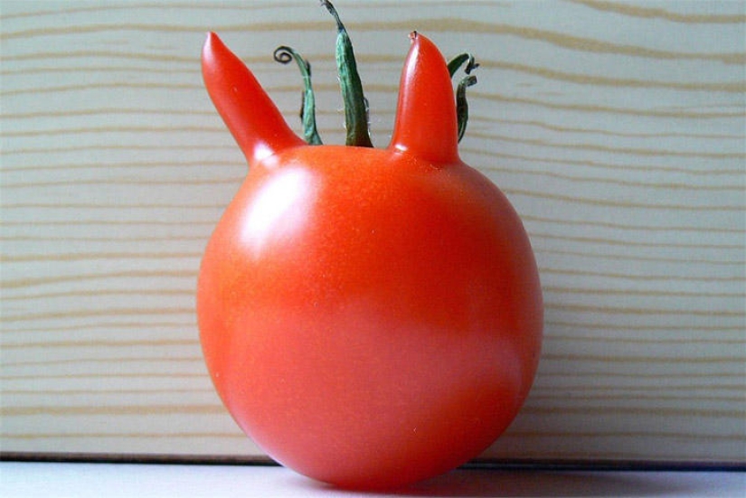 Fancy radish and other fruits-vegetables that have forgotten that they are plants Fancy radish and other fruits-vegetables that have forgotten that they are plants