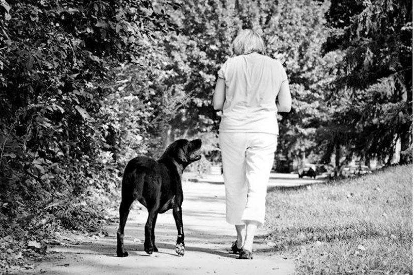 Farewell forever: the photographer captures the last moment of love between the owner and the dog before euthanasia