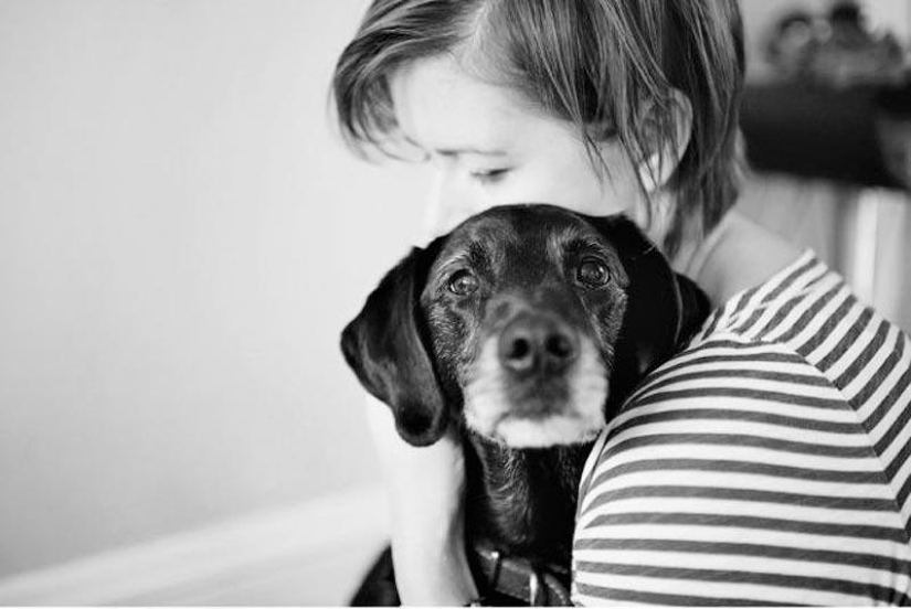 Farewell forever: the photographer captures the last moment of love between the owner and the dog before euthanasia
