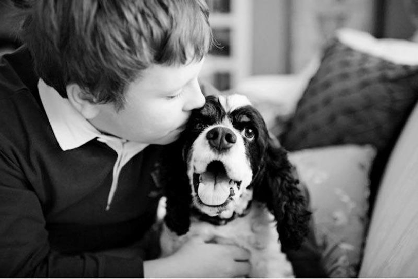 Farewell forever: the photographer captures the last moment of love between the owner and the dog before euthanasia