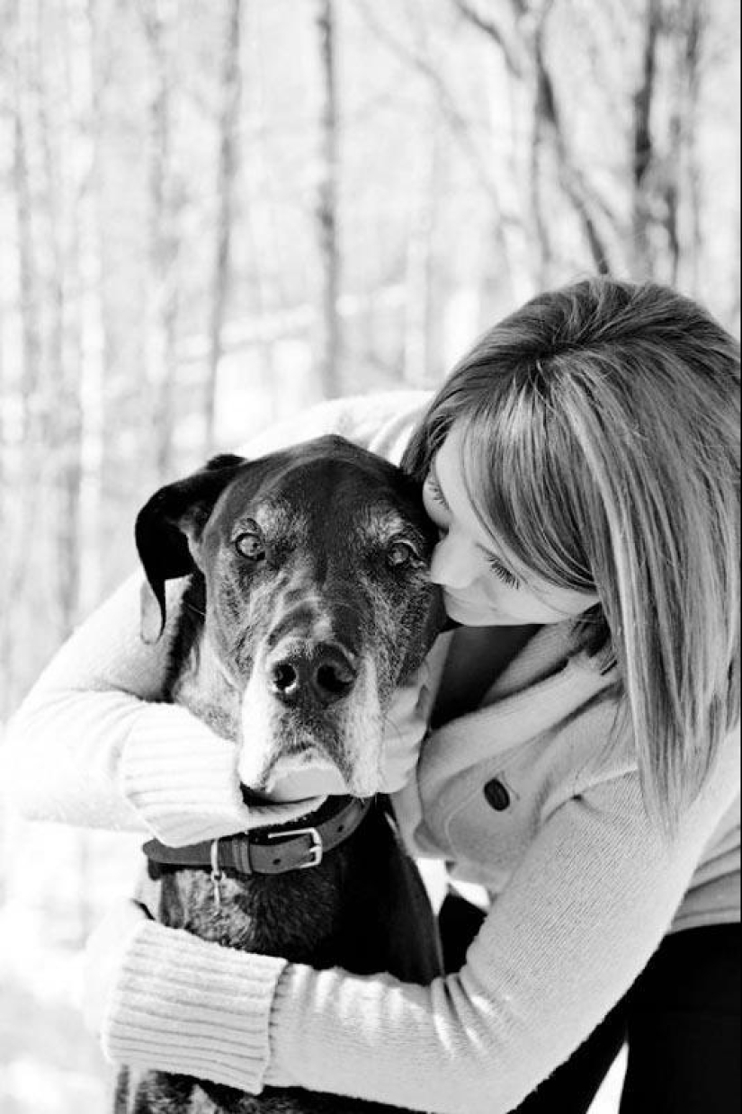 Farewell forever: the photographer captures the last moment of love between the owner and the dog before euthanasia
