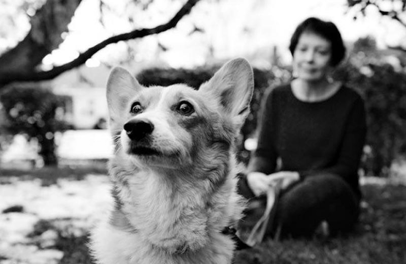 Farewell forever: the photographer captures the last moment of love between the owner and the dog before euthanasia