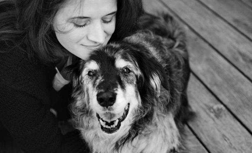 Farewell forever: the photographer captures the last moment of love between the owner and the dog before euthanasia