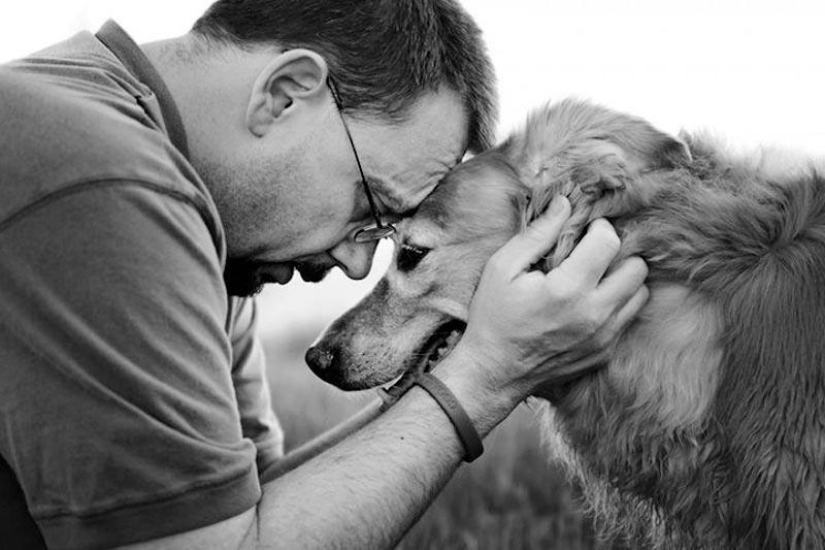 Farewell forever: the photographer captures the last moment of love between the owner and the dog before euthanasia