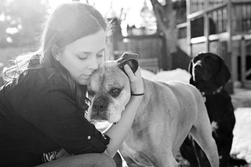 Farewell forever: the photographer captures the last moment of love between the owner and the dog before euthanasia