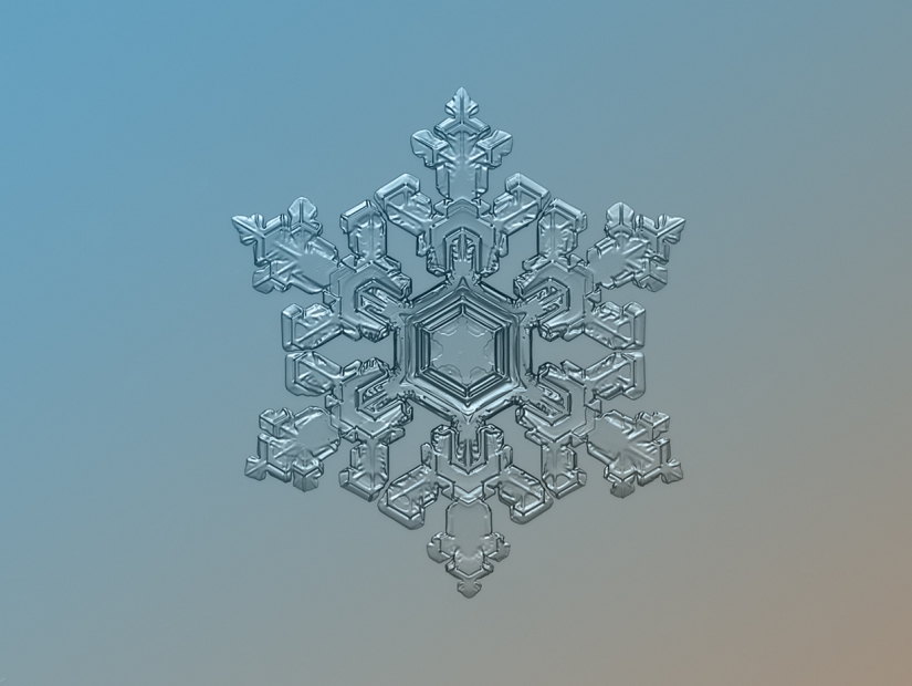 Fascinantes gotas de nieve macro en la foto del maestro ruso