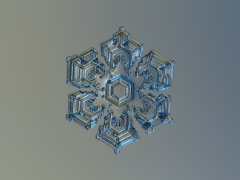 Fascinantes gotas de nieve macro en la foto del maestro ruso