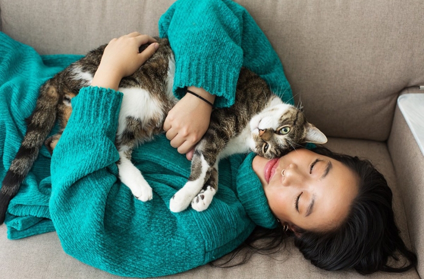 Female Cats Female Cats