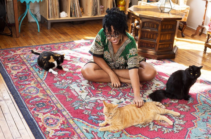 Female Cats Female Cats
