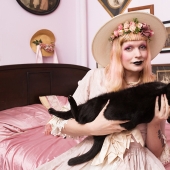 Female Cats Female Cats