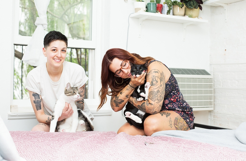 Female Cats Female Cats