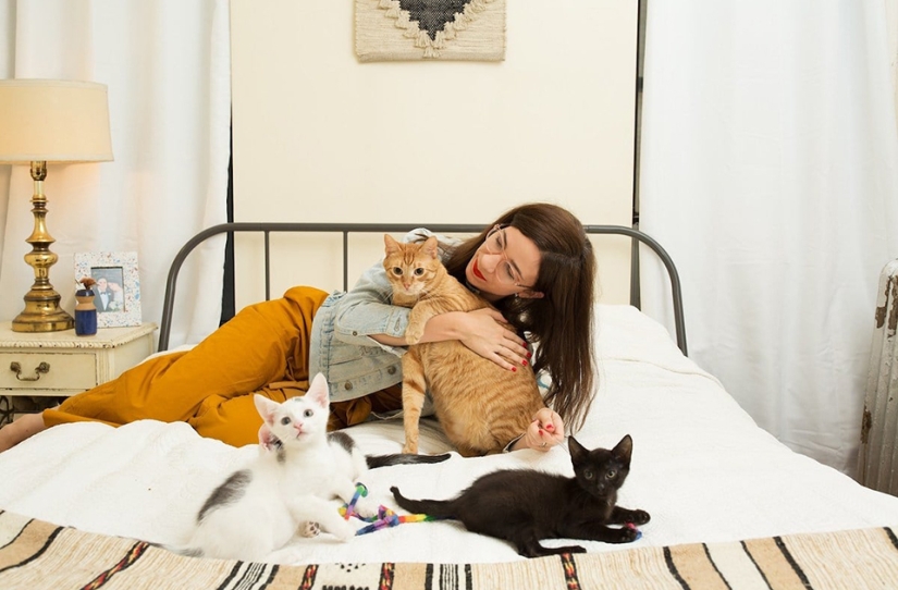 Female Cats Female Cats