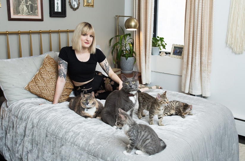 Female Cats Female Cats