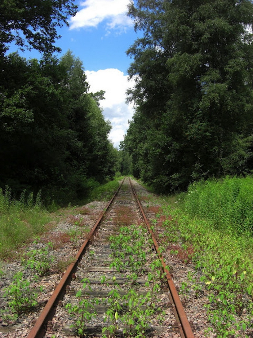 Ferrocarriles abandonados