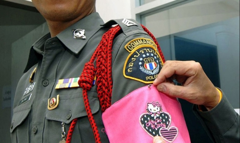 Fighting Geese, Homeless Cops, and 8 More Unconventional Methods of Fighting Crime